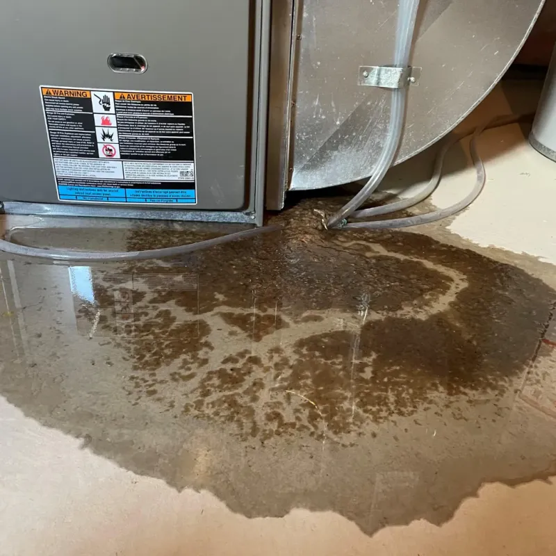 Appliance Leak Cleanup in Gilbert Creek, WV